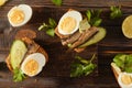 sandwiches with rye bread, sprats, fresh cucumber and boiled eggs, top view