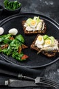 Sandwiches with sardines, egg, cucumber and cream cheese, salad garnish with spinach and dried tomatoes. Black background. Top Royalty Free Stock Photo