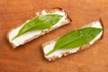 Sandwiches from slices of bread with mayonnaise and ramson leaves, top view