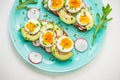 Sandwiches with soft boiled egg, avocado, radish, arugula, green onion Royalty Free Stock Photo