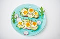 Sandwiches with soft boiled egg, avocado, radish, arugula, green onion and flax seeds Royalty Free Stock Photo