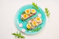 Sandwiches with soft boiled egg, avocado, radish, arugula, green onion and flax seeds Royalty Free Stock Photo