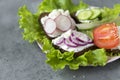Sandwiches with soft cheese, tomato, onion, radish, cucumbers on green salad leaves Royalty Free Stock Photo