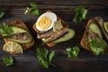 Sandwiches with sprats, fresh cucumber, parsley, lime, rye bread and boiled egg on a dark wooden background, top view, canned