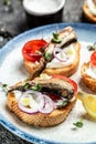 Sandwiches with sprats on toasted bread with fish, fresh tomatoes and onion. Food recipe background. Close up Royalty Free Stock Photo