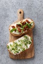 Sandwiches on toast with sun-dried tomatoes, fresh radish microgreens, cream cheese on grey . Top view. Vertical format