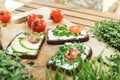 Sandwiches with tomatoes and microgreens on goat cheese lie on a wooden board. Nearby are many trays with microgreens and tomatoes