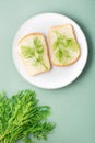 Sandwiches of white bread and fresh dill on a plate and a bunch of dill on a green background. Vitamin Herbs in a healthy diet.