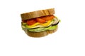 Sandwitch Royalty Free Stock Photo