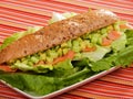 Sandwitch with salmon Royalty Free Stock Photo