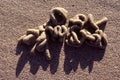 Sandworm pattern
