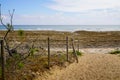 Sandy access to french sea beach of atlantic ocean in summer Royalty Free Stock Photo