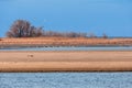 Sandy banks of the shallowed Dnieper River Royalty Free Stock Photo