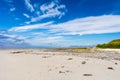 Sandy bay with wild flowers