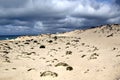 Sandy beach ahead of a dark blue ocean with a few vegetation on it beneath the gloomy sky Royalty Free Stock Photo