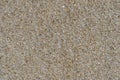 Sandy beach background. Detailed sand texture. Top view Royalty Free Stock Photo