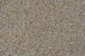 Sandy beach background. Detailed sand texture. Top view Royalty Free Stock Photo