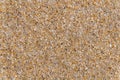 Sandy beach background macro sand texture Royalty Free Stock Photo