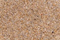 Sandy beach background macro sand texture Royalty Free Stock Photo