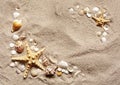Sandy beach background with shells and stones. Sand texture for summer with copy space Royalty Free Stock Photo