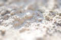 Sandy beach background for summer. Sand texture Royalty Free Stock Photo