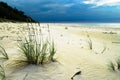 Sandy beach at the Baltic sea with growing sand ryegrass, Leymus arenarius. Dramatic stormy tempestuous sky. Royalty Free Stock Photo