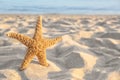 Sandy beach with beautiful starfish near sea on sunny summer day Royalty Free Stock Photo