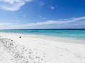 Sandy beach and blue skies Royalty Free Stock Photo
