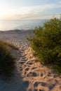 Sandy Beach with Bushes in Grzybowo Poland Royalty Free Stock Photo