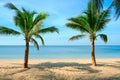 Sandy beach with coconut palm tree and blue sky . Tropical landscape . Summer vacations . Royalty Free Stock Photo