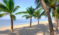 Sandy beach with coconut palm tree and blue sky . Tropical landscape . Summer vacations . Royalty Free Stock Photo