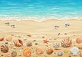 Sandy beach with a collection of various seashells, including conch and spiral shells, Royalty Free Stock Photo