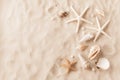 Sandy beach with collections of seashells and starfish as natural background for summer holiday and vacations concept Royalty Free Stock Photo