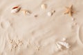 Sandy beach with collections of seashells and starfish as textured background for summer holiday and vacations concept Royalty Free Stock Photo