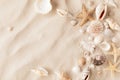 Sandy beach with collections of white and beige seashells and starfish as textured background for summer holiday and vacations