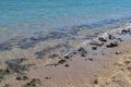 Sandy beach and corals on the Red Sea