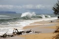 Sandy beach and crushing sea waves in Hawaii Royalty Free Stock Photo