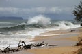 Sandy beach and sea waves in Kauai, Hawaii Royalty Free Stock Photo