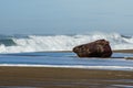 Sandy beach with driftwood log Royalty Free Stock Photo