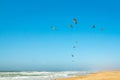 Sandy beach and flock of birds flying over the sea Royalty Free Stock Photo
