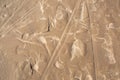 Sandy beach, footprints on the wet sand