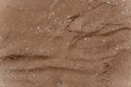 Sandy beach, footprints on the wet sand Royalty Free Stock Photo