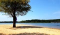 Sandy beach on Greers Ferry lake at Heber springs Royalty Free Stock Photo