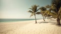 Sandy beach haven under the sun Royalty Free Stock Photo