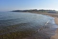 Sandy Beach At Holland State Park Royalty Free Stock Photo