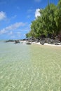 Sandy beach of Ile aux Cerfs Mauritius with beautiful rhythmic wave and dense pine trees