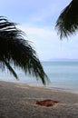 Sandy beach in koh samui, Thailand Royalty Free Stock Photo