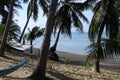 Sandy beach in koh samui, Thailand Royalty Free Stock Photo