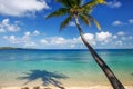 Sandy beach and leaning palm tree on Drawaqa Island, Yasawa Islands, Fiji Royalty Free Stock Photo