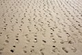 Sandy Beach - multiple footprints in rows receding